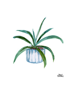 Watercolor Plant Print - Aloe