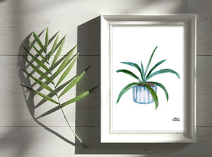 Watercolor Plant Print - Aloe