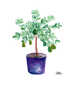 Watercolor Plant Print - Avocado Tree