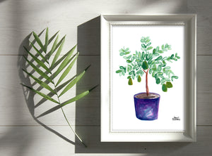 Watercolor Plant Print - Avocado Tree