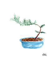 Load image into Gallery viewer, Watercolor Plant Print - Bonsai