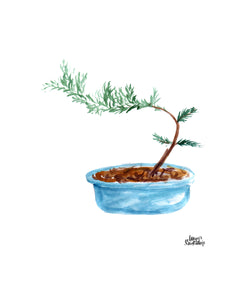 Watercolor Plant Print - Bonsai