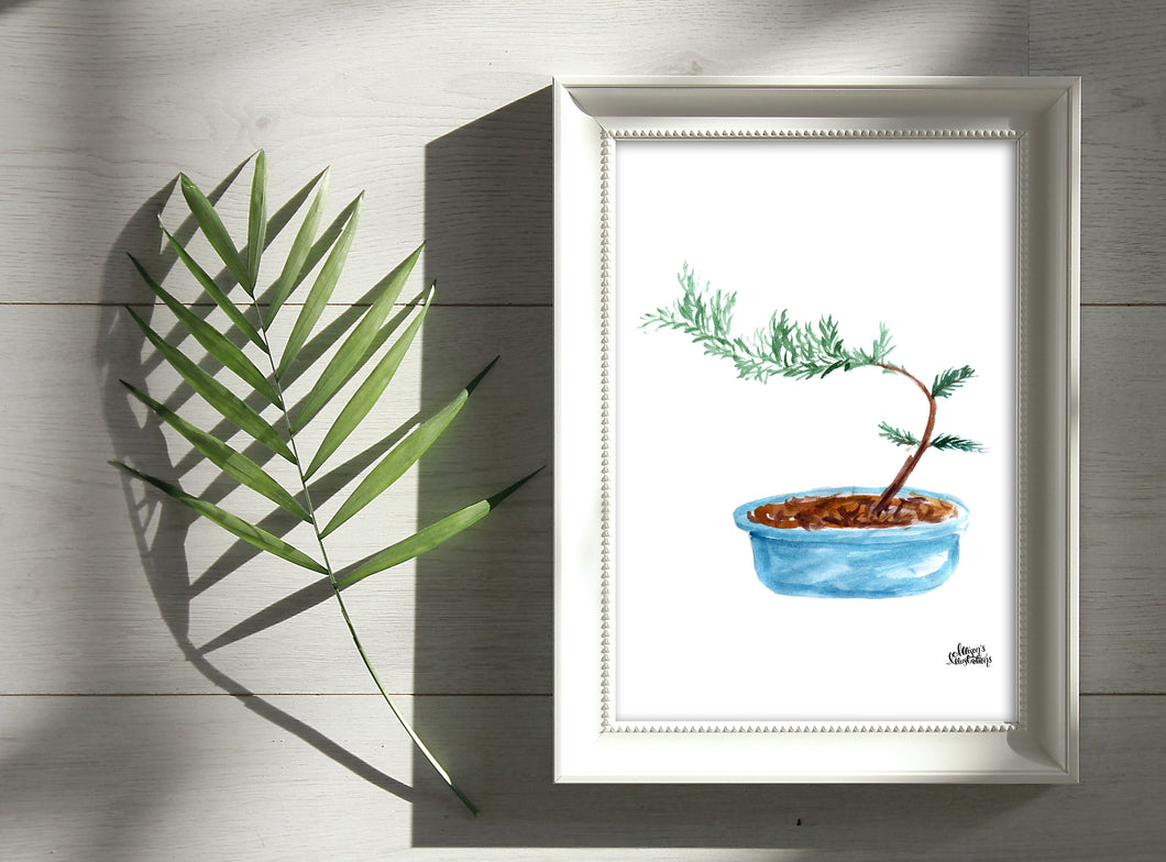Watercolor Plant Print - Bonsai
