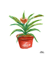 Load image into Gallery viewer, Watercolor Plant Print - Bromeliad