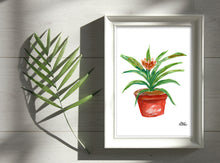 Load image into Gallery viewer, Watercolor Plant Print - Bromeliad