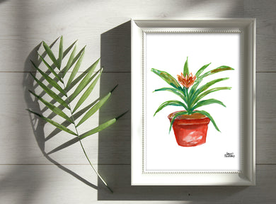 Watercolor Plant Print - Bromeliad