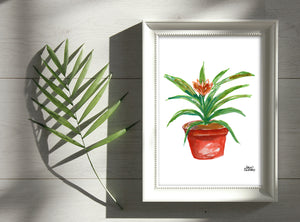 Watercolor Plant Print - Bromeliad
