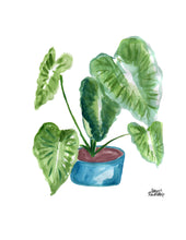 Load image into Gallery viewer, Watercolor Plant Print - Elephant Ears
