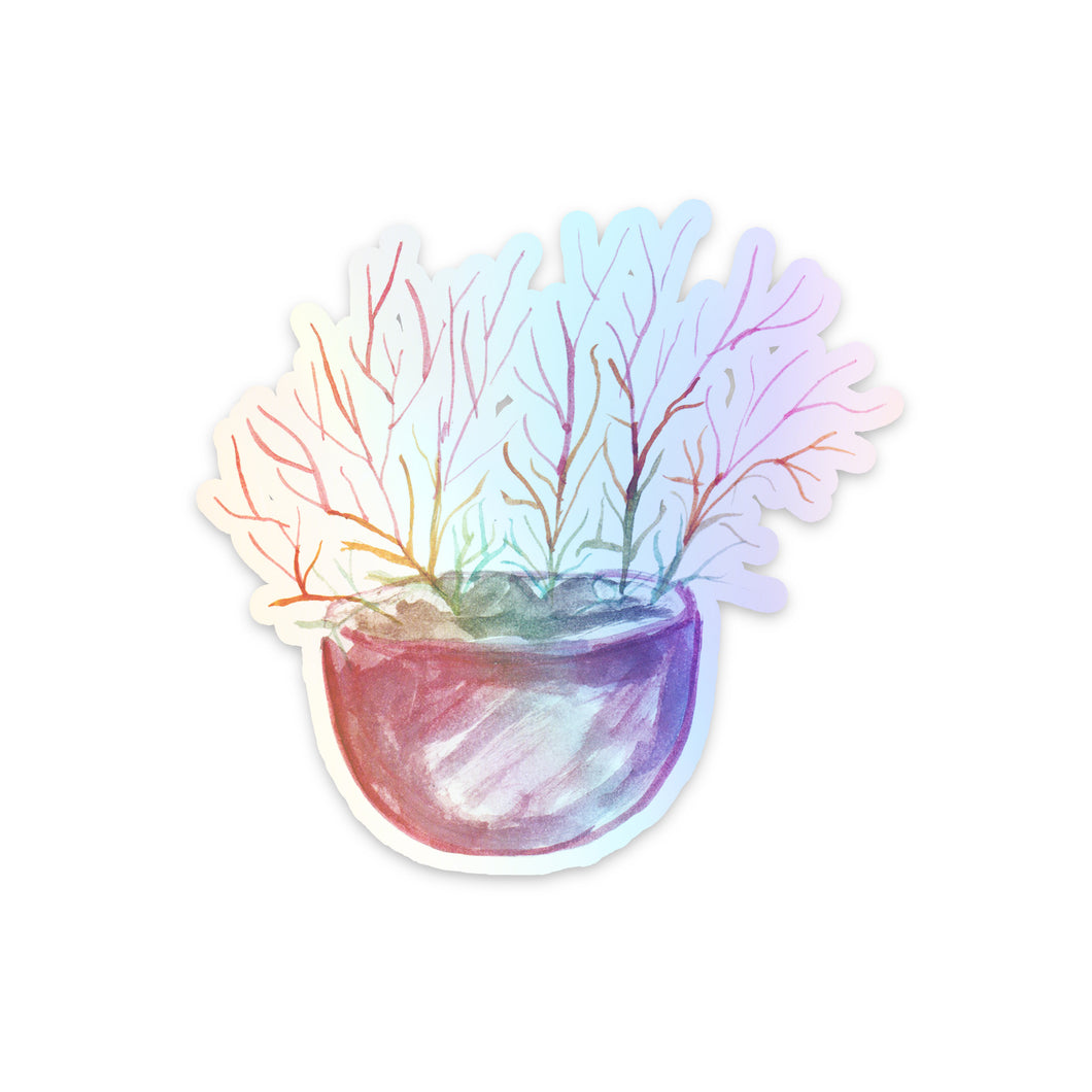 Firestick Cactus Plant Holographic Sticker