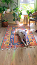 Load image into Gallery viewer, Plant Cabinet Sun Catcher Rainbow Maker