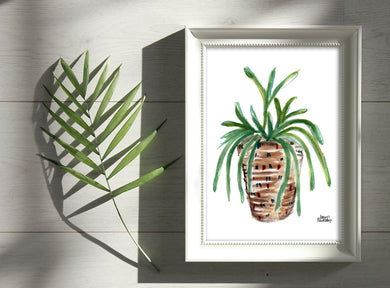 Watercolor Plant Print - Mistletoe Cactus