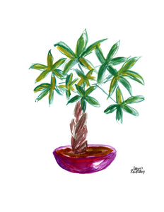 Watercolor Plant Print - Money Tree