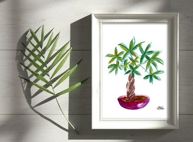 Watercolor Plant Print - Money Tree