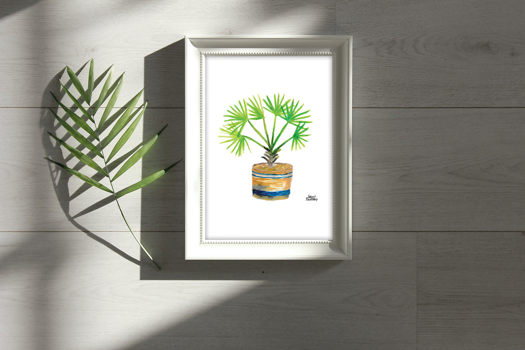Watercolor Plant Print - Bismark Palm