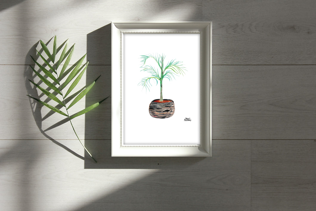 Watercolor Plant Print - Carpentaria Palm