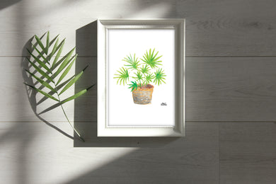 Watercolor Plant Print - Chinese Palm