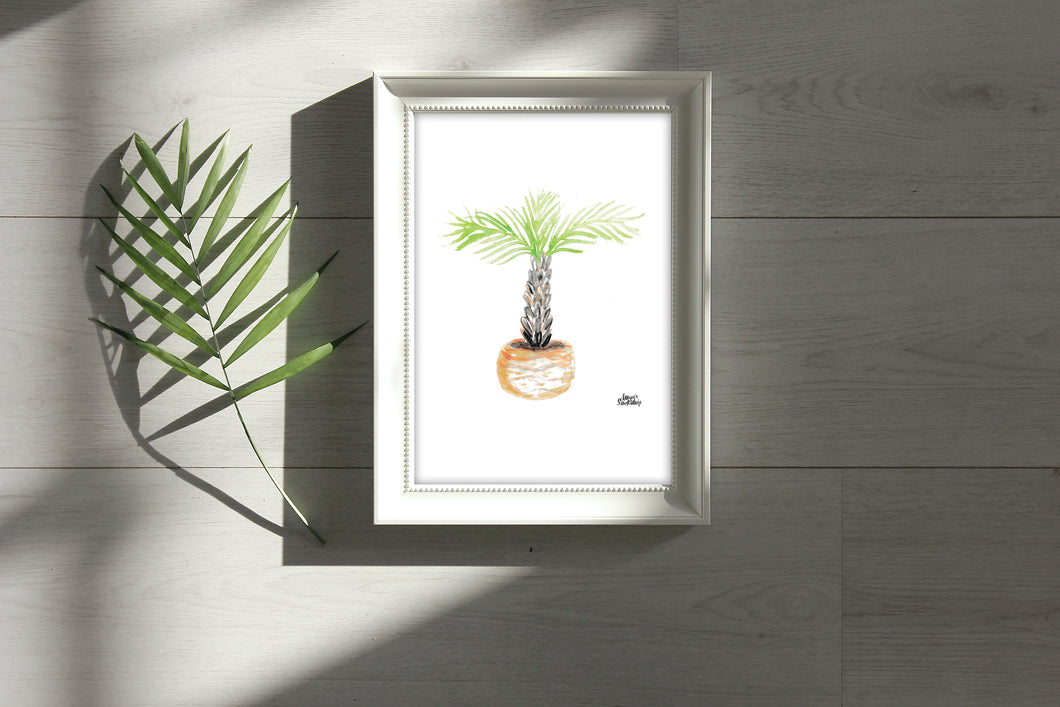 Watercolor Plant Print - Mexican Fan Palm