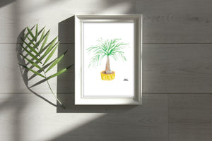 Watercolor Plant Print - Windmill Palm