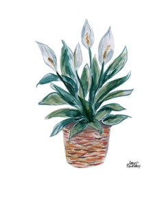 Watercolor Plant Print - Peace Lily