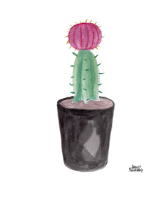 Watercolor Plant Print - Pink Cactus