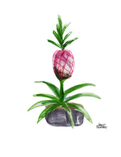 Load image into Gallery viewer, Watercolor Plant Print - Pink Pineapple