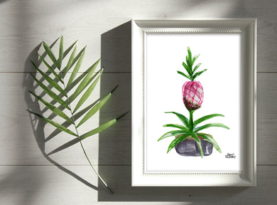 Watercolor Plant Print - Pink Pineapple