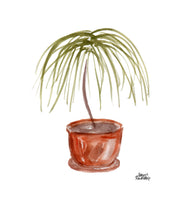 Load image into Gallery viewer, Watercolor Plant Print - Ponytail Palm