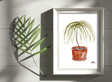 Watercolor Plant Print - Ponytail Palm