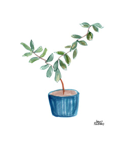 Watercolor Plant Print - Rubber Tree