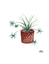 Load image into Gallery viewer, Watercolor Plant Print - Spider Plant