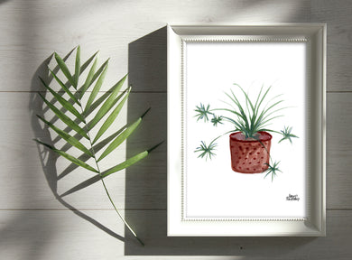 Watercolor Plant Print - Spider Plant