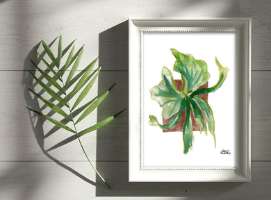 Watercolor Plant Print - Staghorn Fern