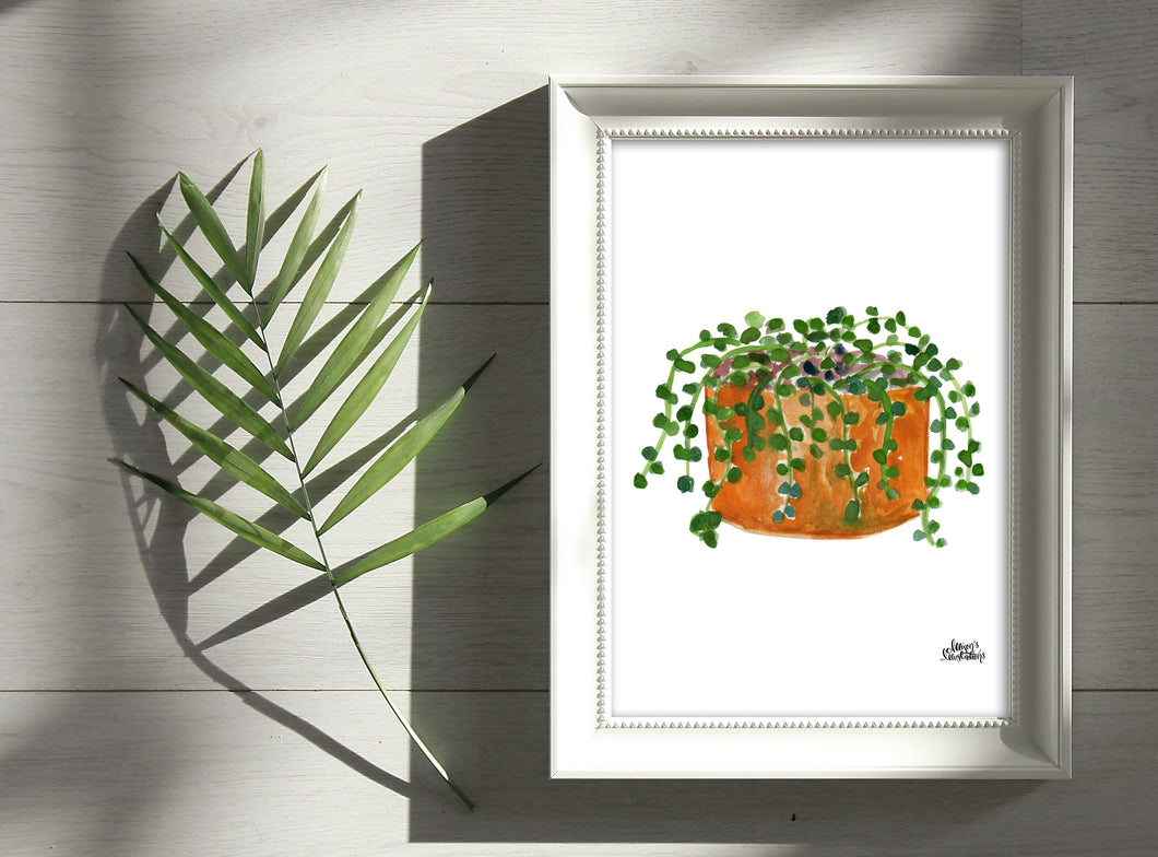 Watercolor Plant Print - String of Pearls