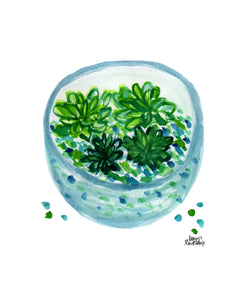 Watercolor Plant Print - Terrarium