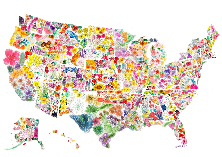 Custom Floral State to State Print – Allison's Illustrations